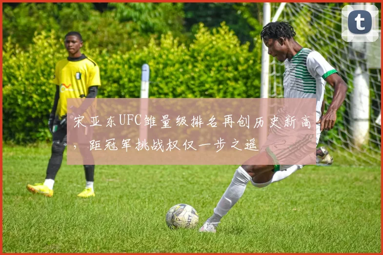 宋亚东UFC雏量级排名再创历史新高，距冠军挑战权仅一步之遥